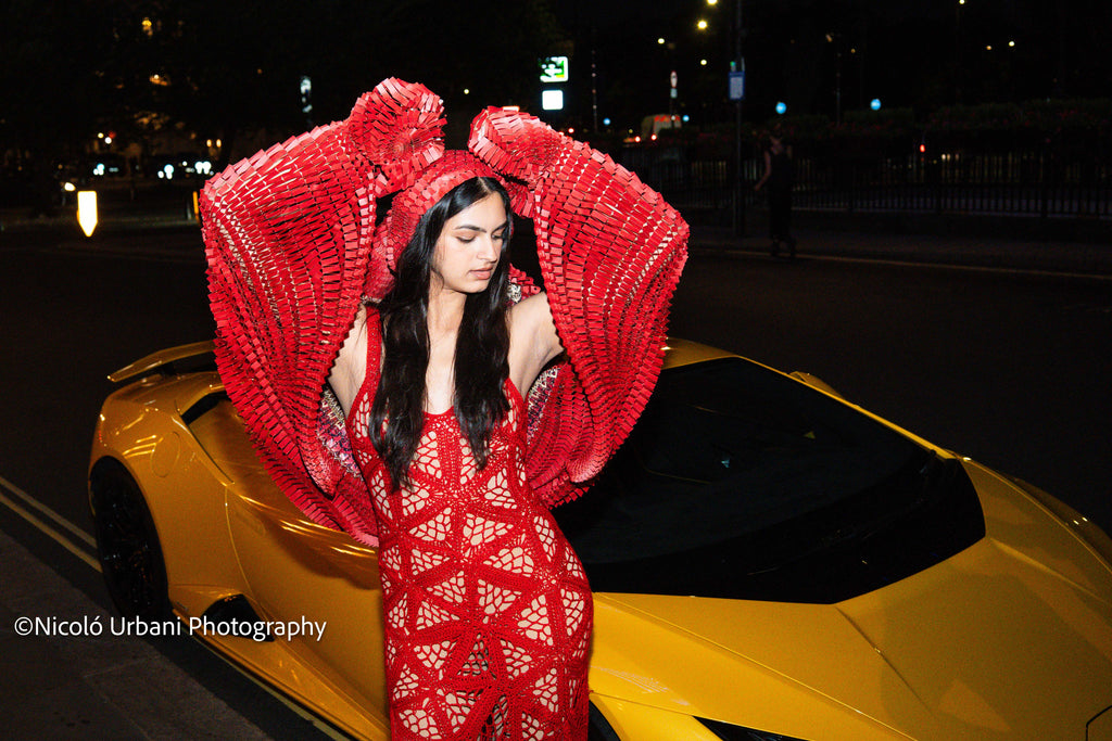 Scarlet Dress